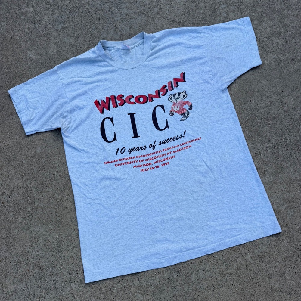 Fruit of the Loom | Wisconsin CIC Tee Vintage 90s Gray XL Distressed Streetwear